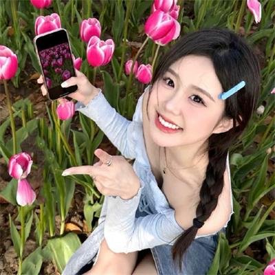 小狗波图封面
